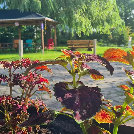 Herberg Landurlaub Nahe Ostseebad Rerik Biendorf