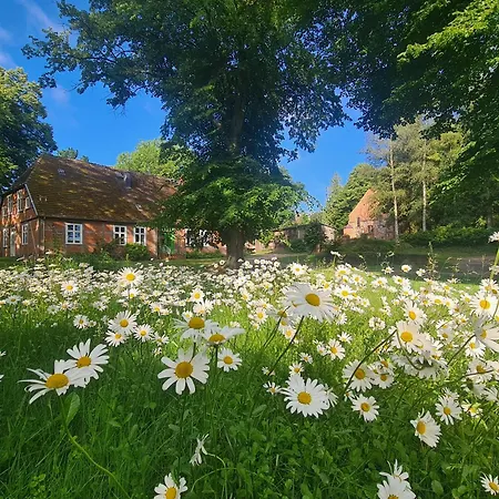 Landurlaub Nahe Ostseebad Rerik * Biendorf