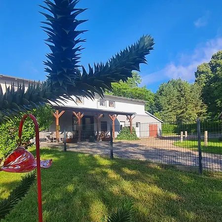 Landurlaub Nahe Ostseebad Rerik Biendorf