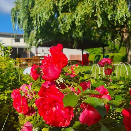 Landurlaub Nahe Ostseebad Rerik * Biendorf